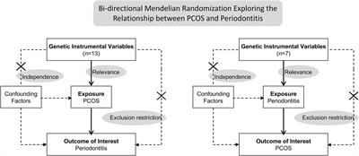 Assessment of Bidirectional Relationships Between Polycystic Ovary Syndrome and Periodontitis: Insights From a Mendelian Randomization Analysis